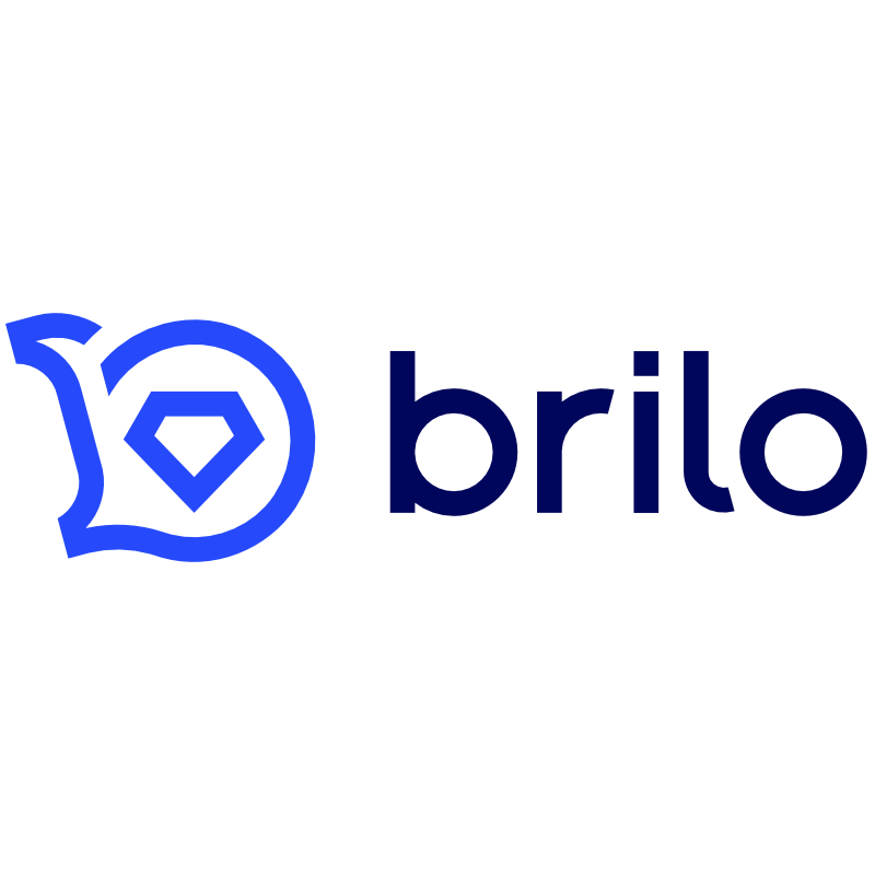 Brilo Team logo